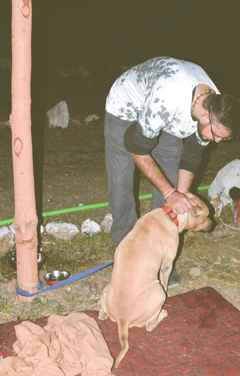 Furventures - Pet Adventures & Events - Professional service photo 5